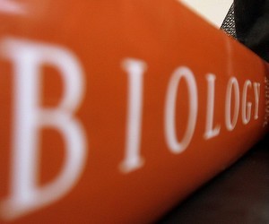 Определены результаты участников тестирования по биологии