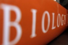 Определены результаты участников тестирования по биологии