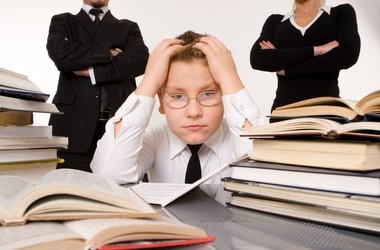 Проблемы «поголовной» проверки знаний школьников