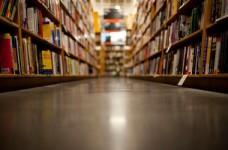 Чиновница: учебники без грифа являются подделками