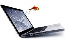 Інформаційно-управлінські комп'ютерні технології