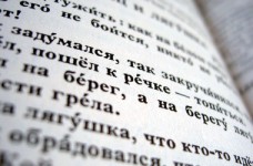 Явка на тест по русскому языку составила 77%