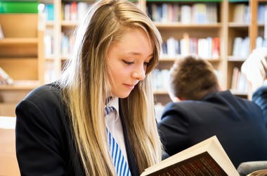 Разработана новая Концепция профильного обучения