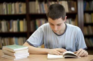 200 баллов по языкам получили 100 участников ЗНО