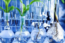 Опубликованы ответы на тест ЗНО по биологии 