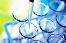 УЦОКО: тест по биологии соответствует программе