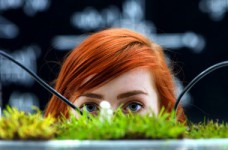 Определены результаты участников ЗНО по биологии