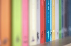 Определены результаты ЗНО по мировой литературе