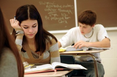 Общественность хочет объединить ДПА и ЗНО