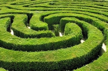 Дискуссия "Лабиринты управления"