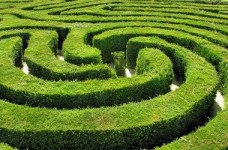 Дискуссия "Лабиринты управления"