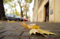 Осенние каникулы в Киеве продлятся две недели