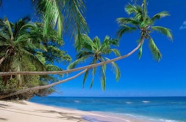 Оффшоры – прошлое, настоящее, будущее