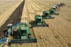 Безопасность агробизнеса во времена кризиса