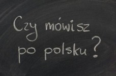 Дистанционный курс польского для начинающих