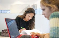 В Европе разработан единый аттестат онлайн-образования