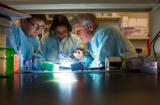 «Горизонт 2020»: гранты на командировки для ученых