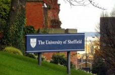 University of Sheffield: престиж и реальное трудоустройство