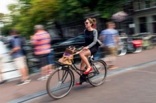 Шесть преимуществ студенческой жизни в Голландии