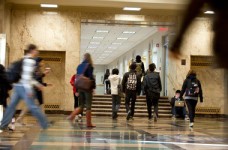 Правительством утвержден новый перечень специальностей