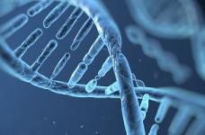 Онлайн-тест пробного ЗНО-2015 по биологии