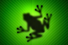 Подготовка к тесту: ЗНО онлайн по биологии