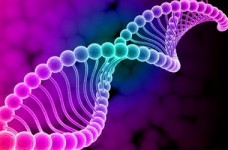 НМТ-2025: как рассчитать балл по биологии