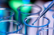 Абитуриенты сдали тест ЗНО по биологии