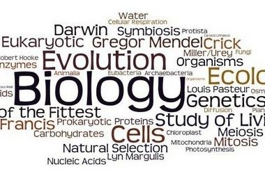 Порог теста ЗНО по биологии составил 24 тестовых балла