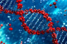 Определены результаты ЗНО по биологии