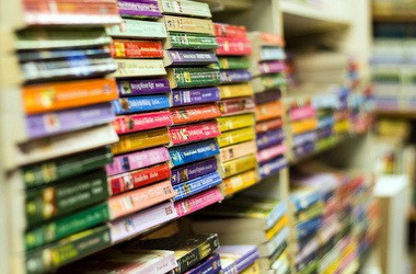 Рада направила сэкономленные средства на учебники