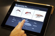 В МОН надеются создать интерактивные учебники