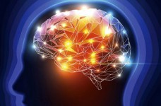 Ученые выяснили, как загружать знания в мозг