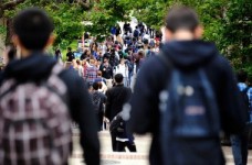 Вузы избавят от обязанности трудоустраивать выпускников