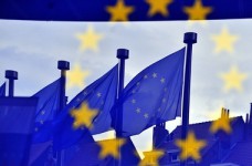 ЕФО поможет с законом «О профобразовании»