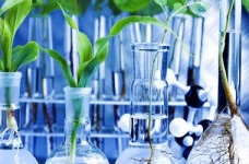 10 июня состоится ЗНО по биологии