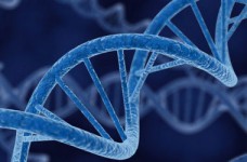 Опубликованы ответы на ЗНО по биологии