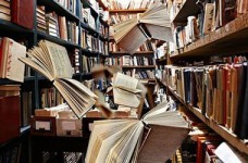 О смысле литературного образования в школе