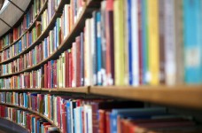 Литературное образование: упадок и пути возрождения