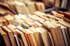 Нужны ли украинской школе новые программы?