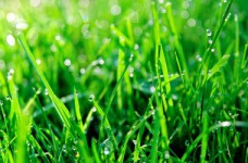 Про образовательные программы о сборе отходов