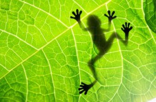 Накануне проведения ЗНО по биологии