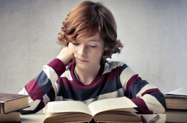 В 2016 году в Украине работало 189 опорных школ