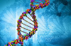 Определены результаты ЗНО по биологии