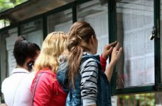 Обнародование рейтинговых списков абитуриентов задерживается