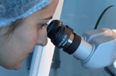 Проблема университетской науки в Украине