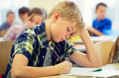 Старшая академическая школа и высшее образование