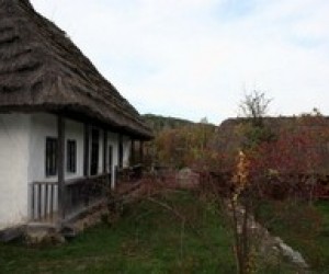 Педагогічна освіта батьків