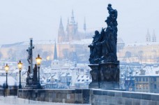 Почему украинцы выбирают обучение в Чехии?