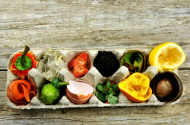 Школы могут принять участие в экологическом проекте